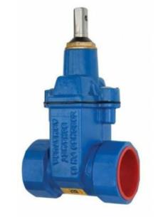 ZASUWA DN 32 BOH.GWINT KLINOWA