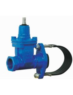 ZASUWO/NAWIERTKA NWZ 50/100 ŻELIWO